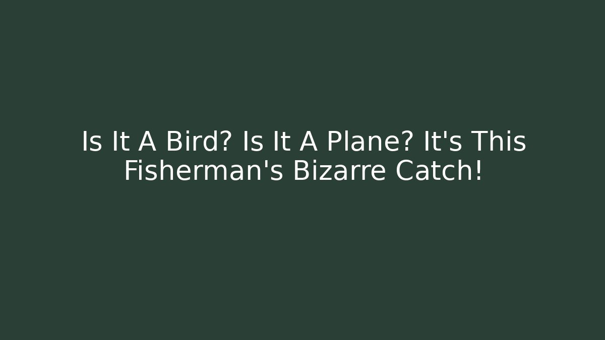 Is It A Bird? Is It A Plane? It's This Fisherman's Bizarre Catch!