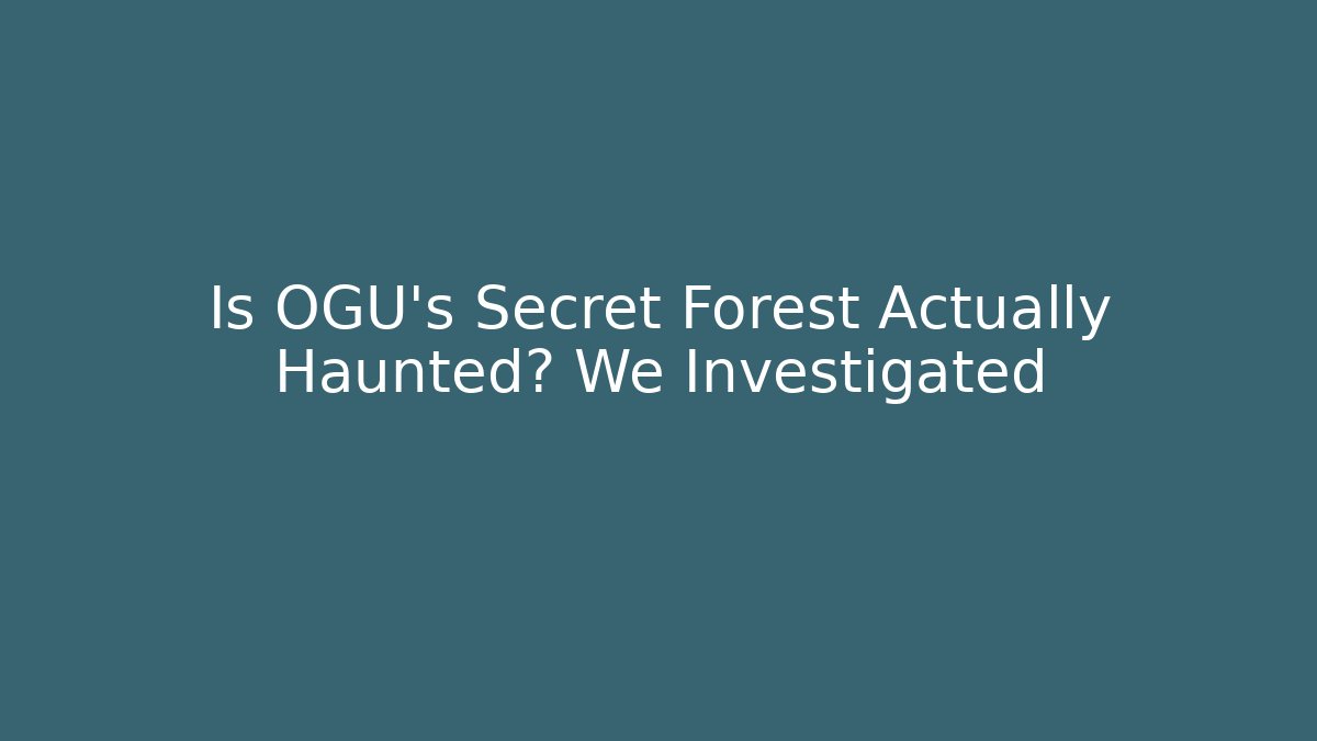Is OGU's Secret Forest Actually Haunted? We Investigated