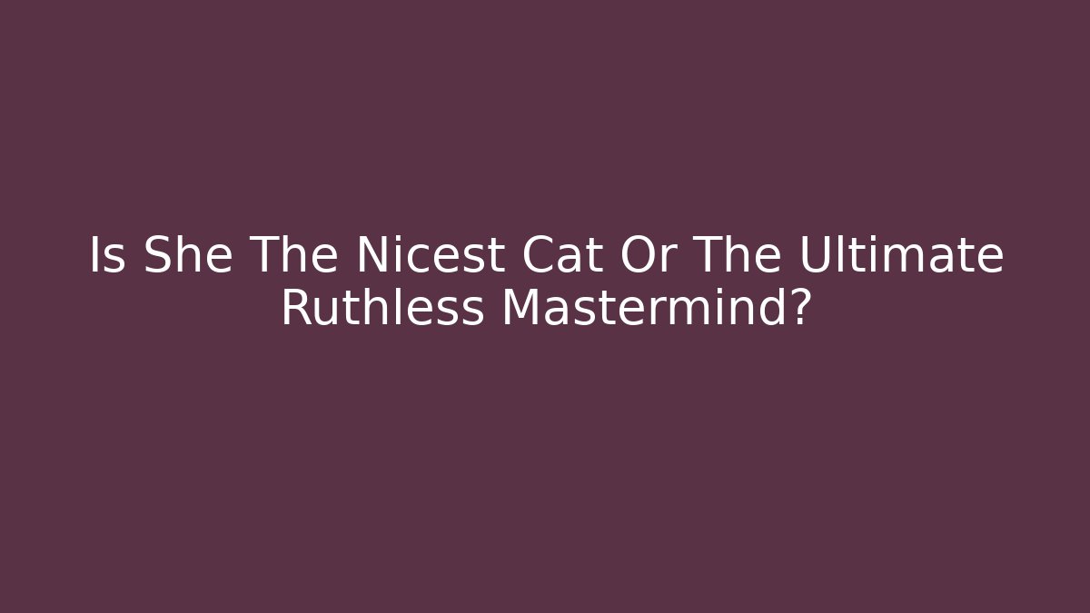Is She The Nicest Cat Or The Ultimate Ruthless Mastermind? - Felix Cat Insurance