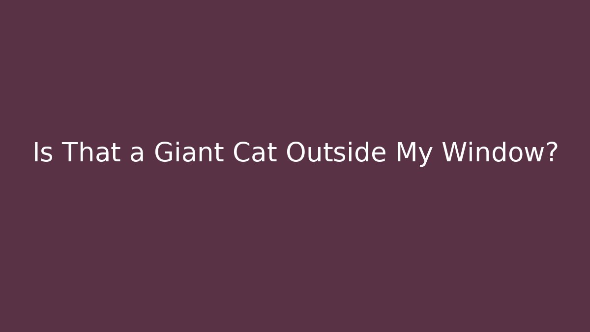 Is That a Giant Cat Outside My Window? - Felix Cat Insurance