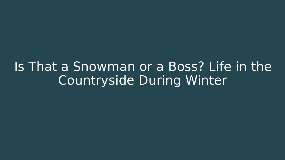 Is That a Snowman or a Boss? Life in the Countryside During Winter