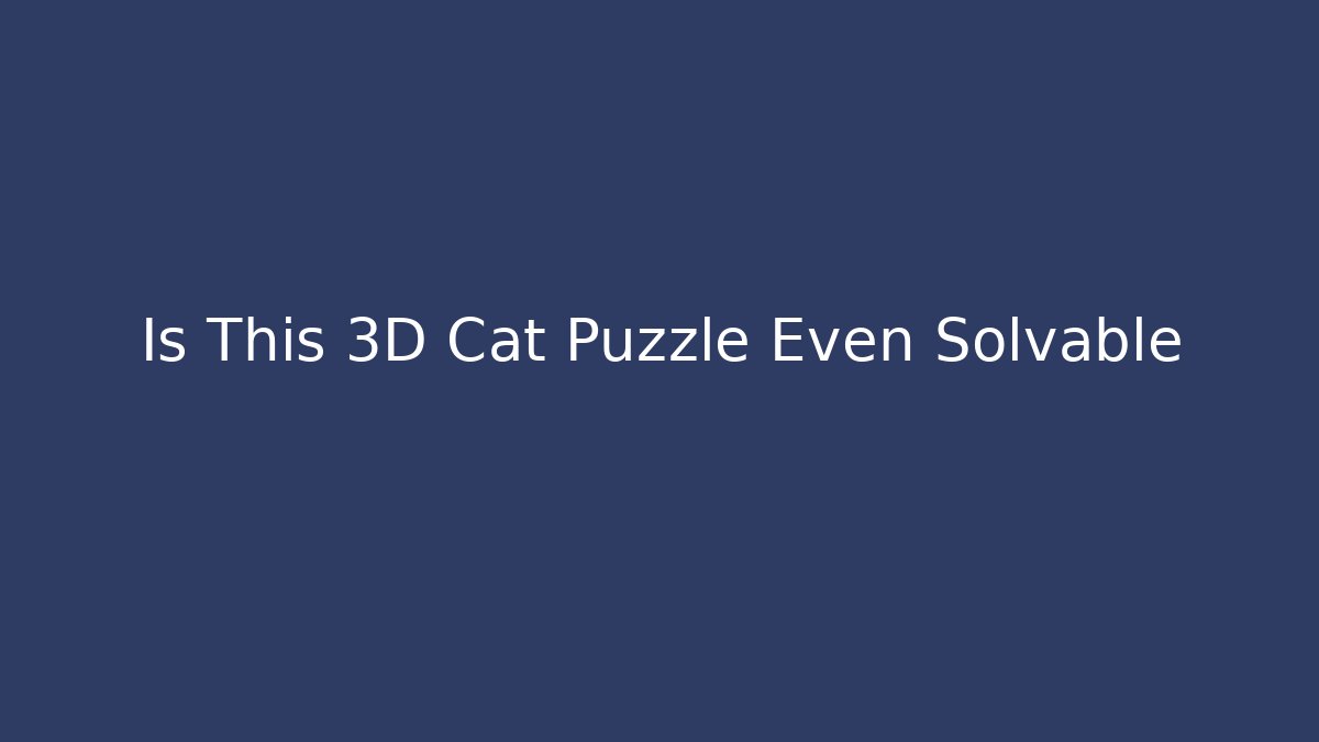 Is This 3D Cat Puzzle Even Solvable
