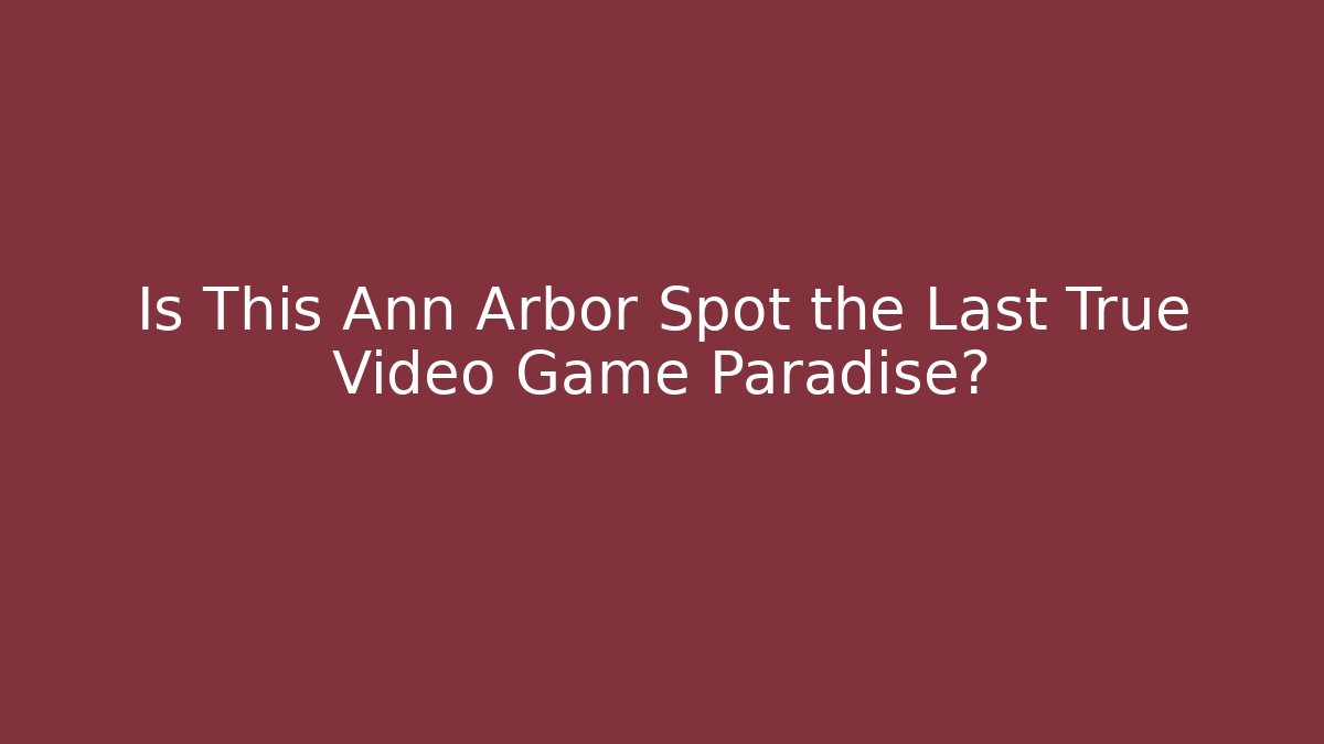 Is This Ann Arbor Spot the Last True Video Game Paradise?