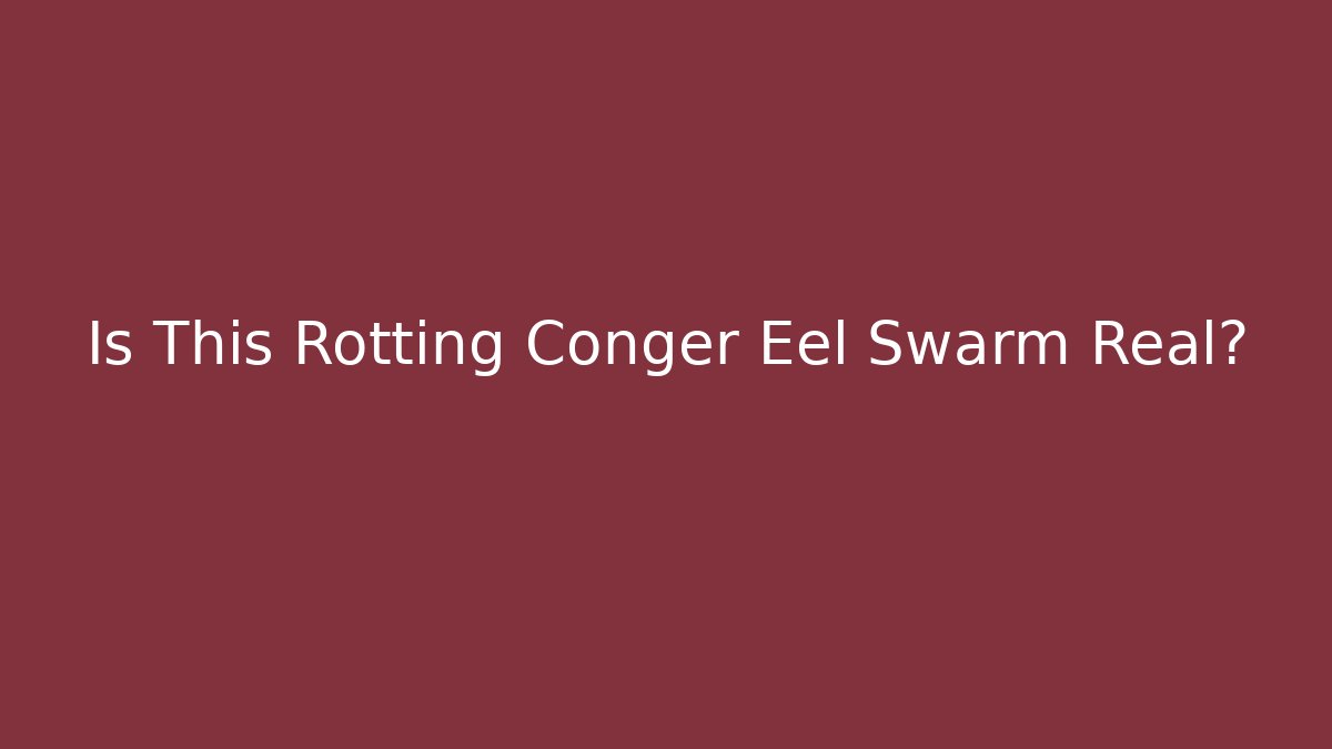Is This Rotting Conger Eel Swarm Real? - Felix Cat Insurance