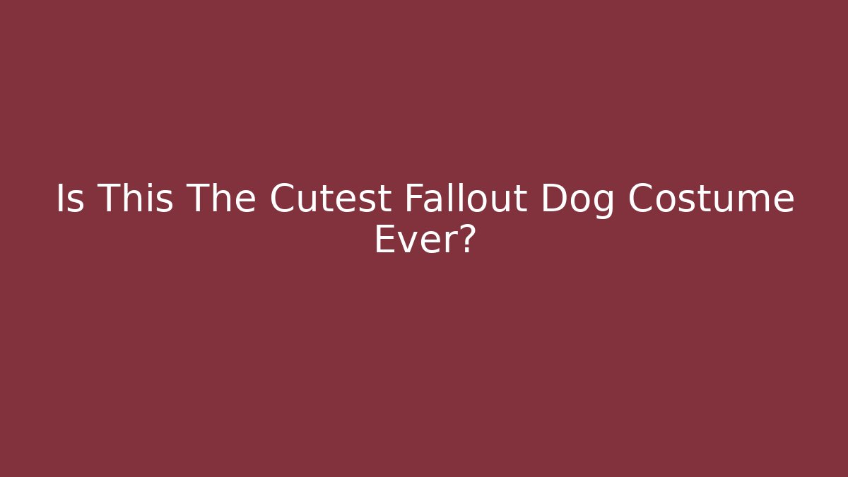 Is This The Cutest Fallout Dog Costume Ever?