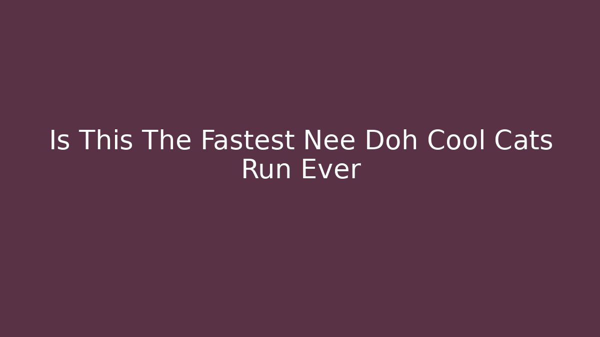 Is This The Fastest Nee Doh Cool Cats Run Ever