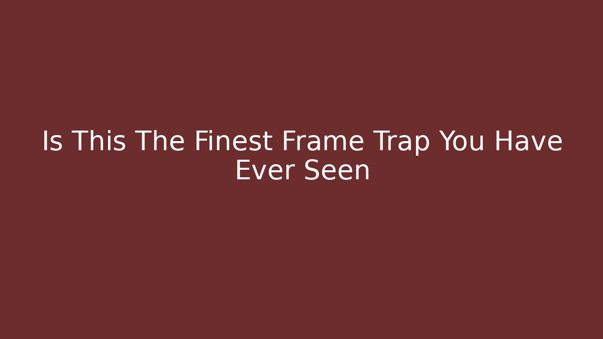 Is This The Finest Frame Trap You Have Ever Seen