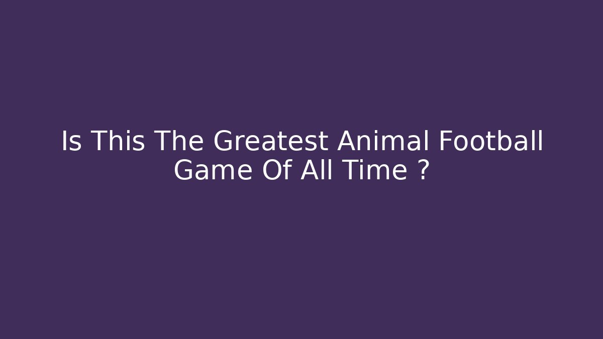 Is This The Greatest Animal Football Game Of All Time 완