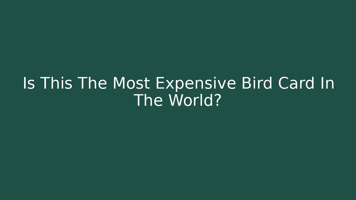 Is This The Most Expensive Bird Card In The World?