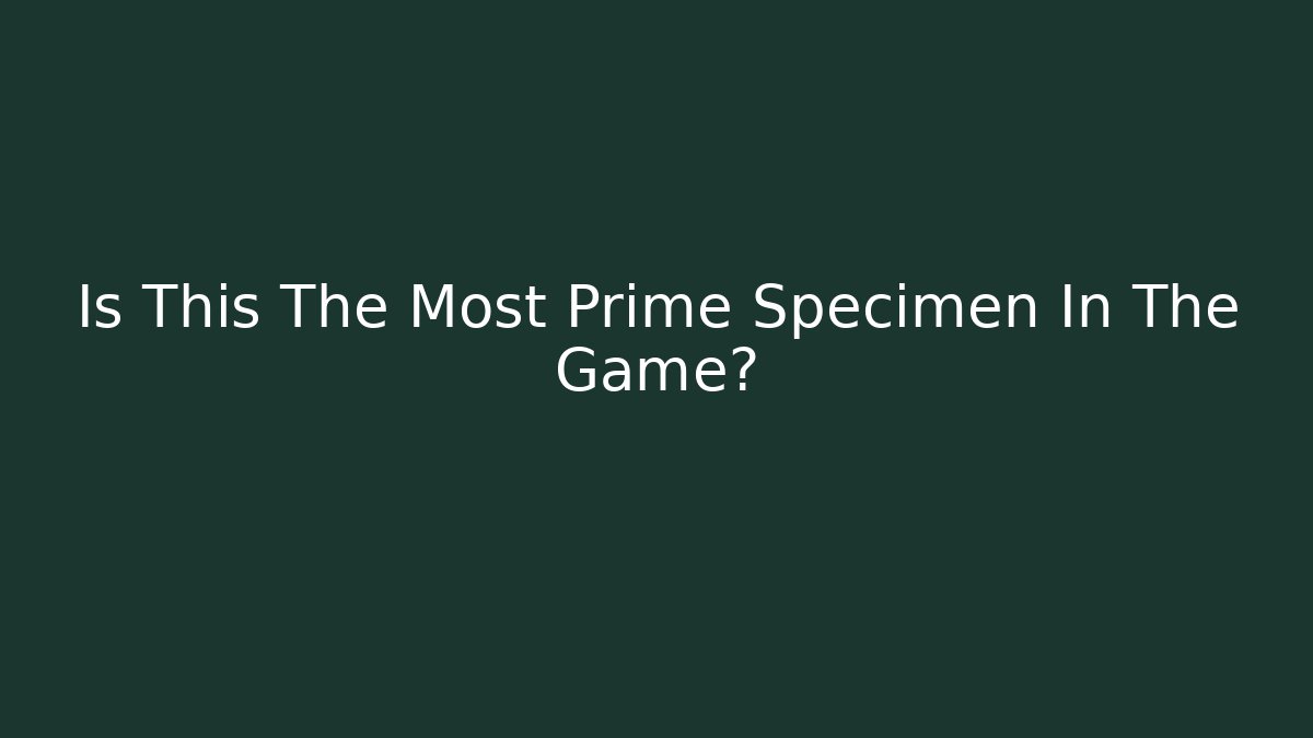 Is This The Most Prime Specimen In The Game?