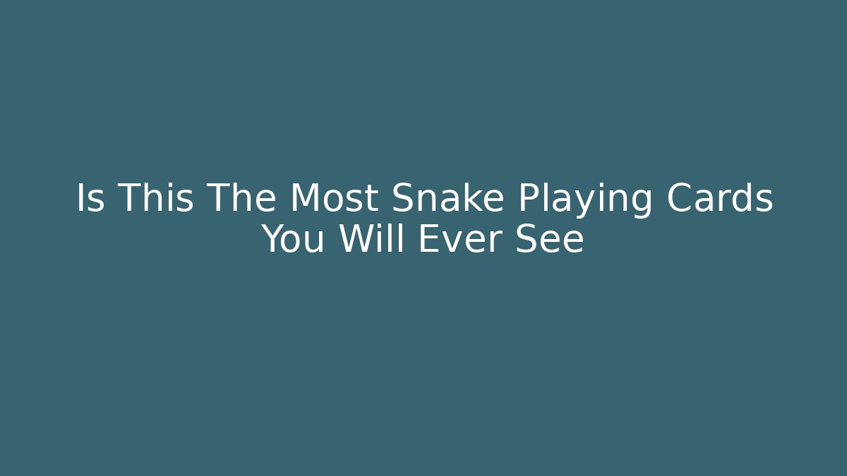 Is This The Most Snake Playing Cards You Will Ever See