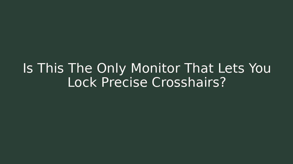 Is This The Only Monitor That Lets You Lock Precise Crosshairs?