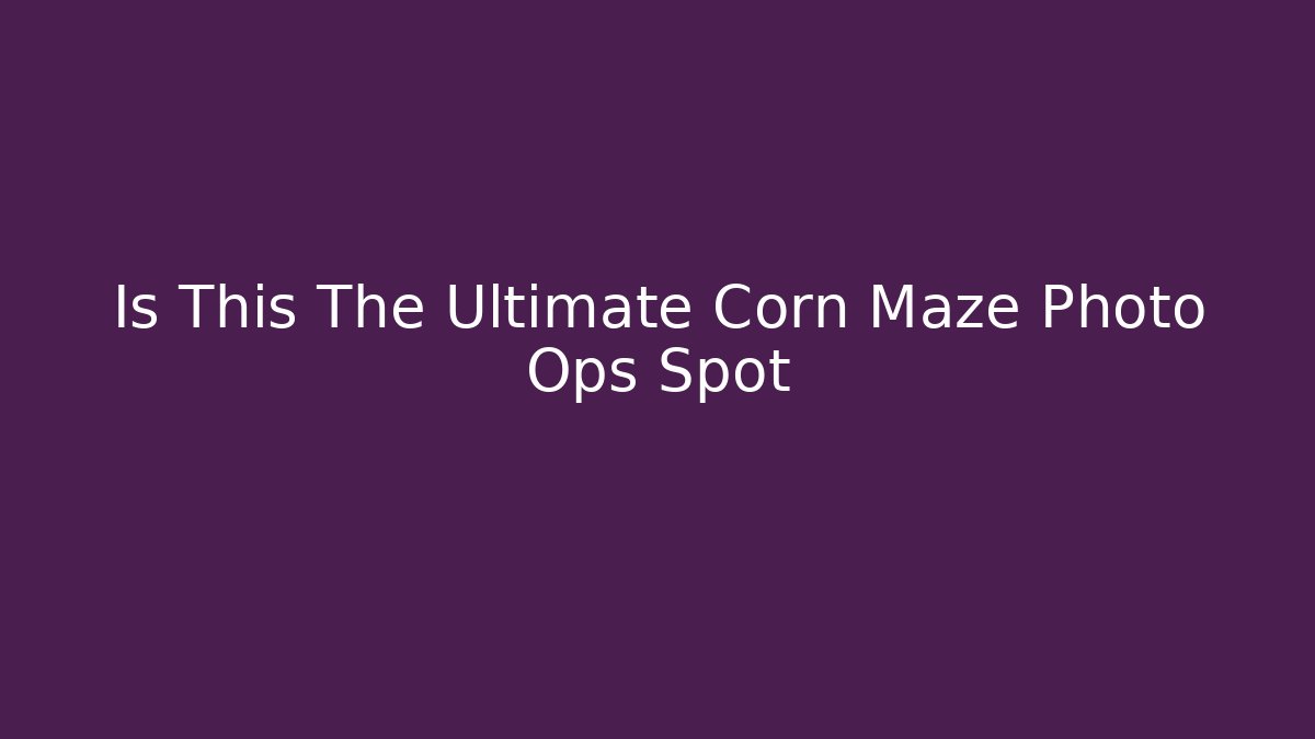 Is This The Ultimate Corn Maze Photo Ops Spot - Felix Cat Insurance