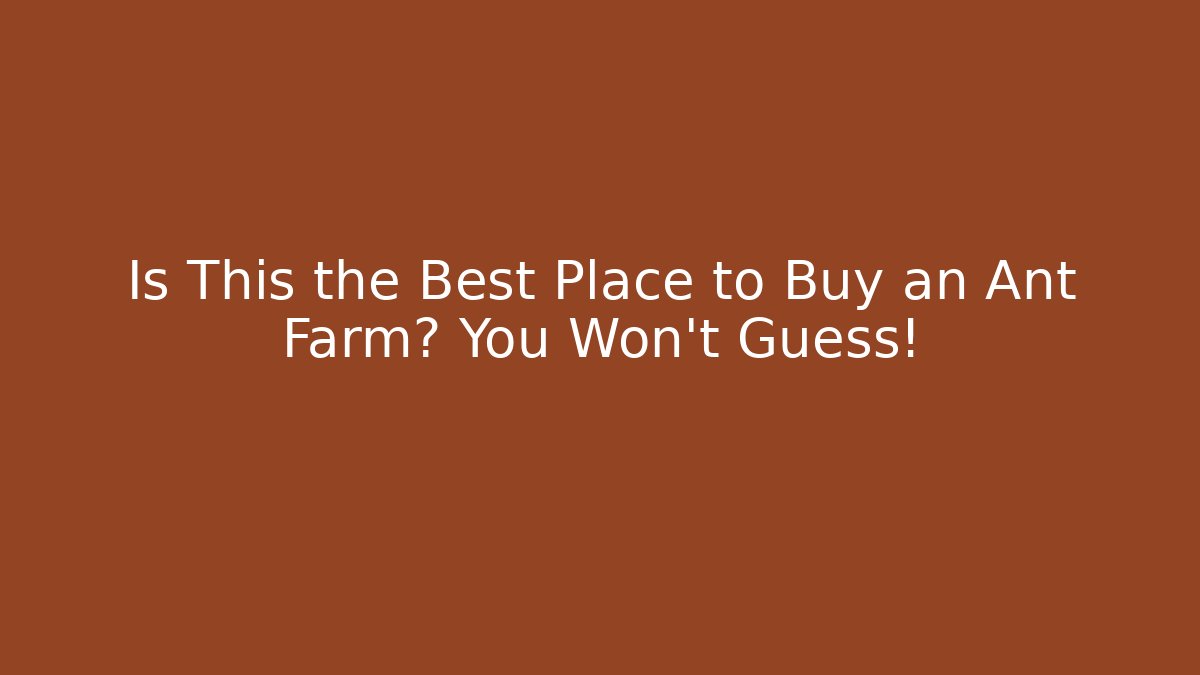 Is This the Best Place to Buy an Ant Farm? You Won't Guess! - Felix Cat Insurance