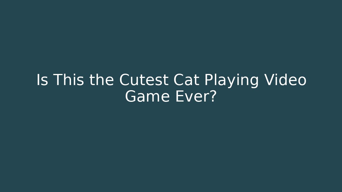 Is This the Cutest Cat Playing Video Game Ever?