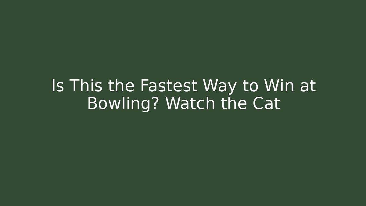 Is This the Fastest Way to Win at Bowling? Watch the Cat
