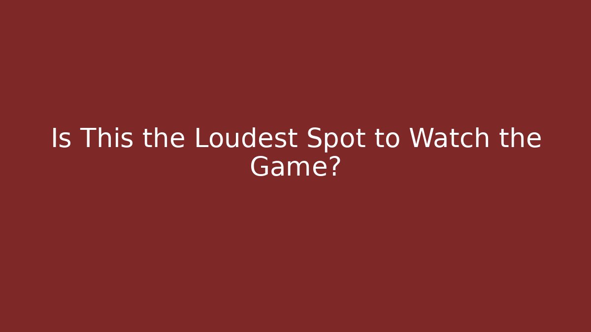 Is This the Loudest Spot to Watch the Game? - Felix Cat Insurance
