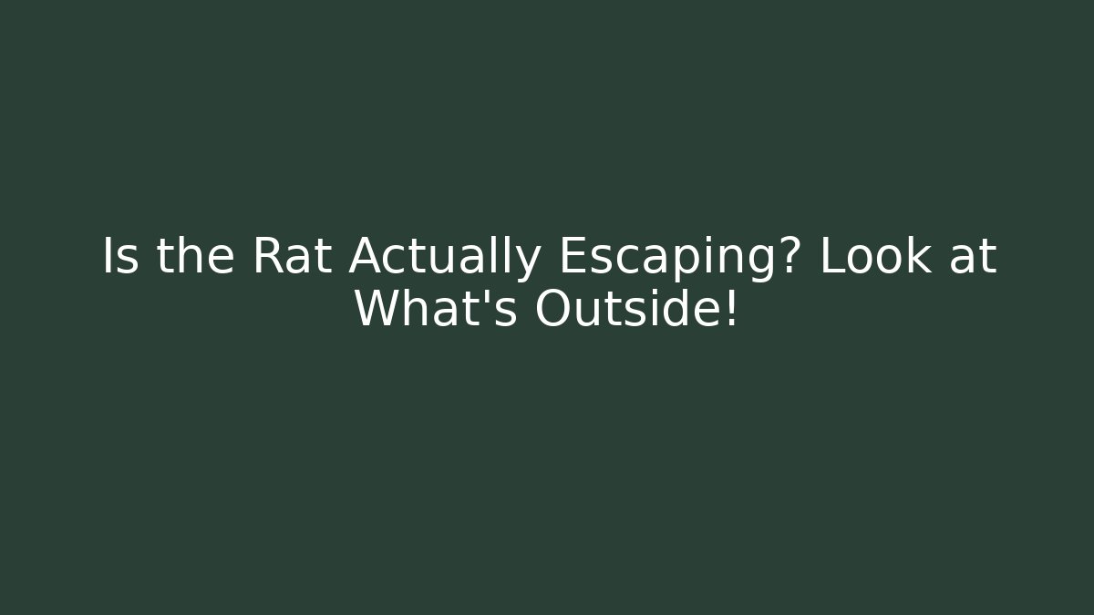 Is the Rat Actually Escaping? Look at What's Outside!