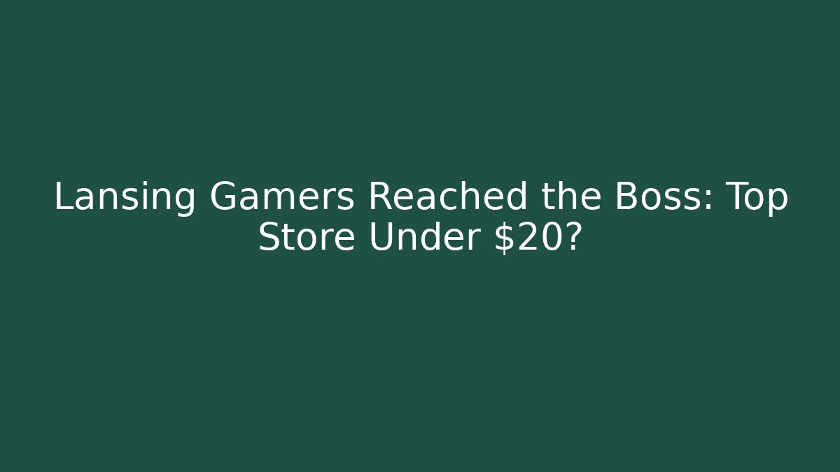 Lansing Gamers Reached the Boss: Top Store Under $20?