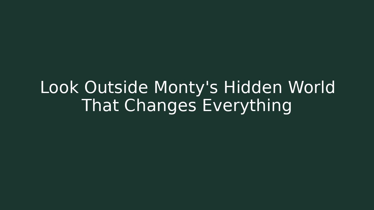 Look Outside Monty's Hidden World That Changes Everything - Felix Cat Insurance