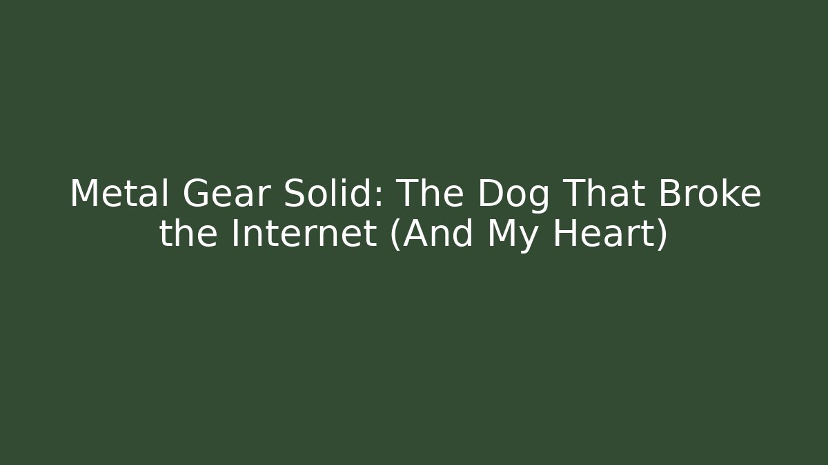Metal Gear Solid: The Dog That Broke the Internet (And My Heart)
