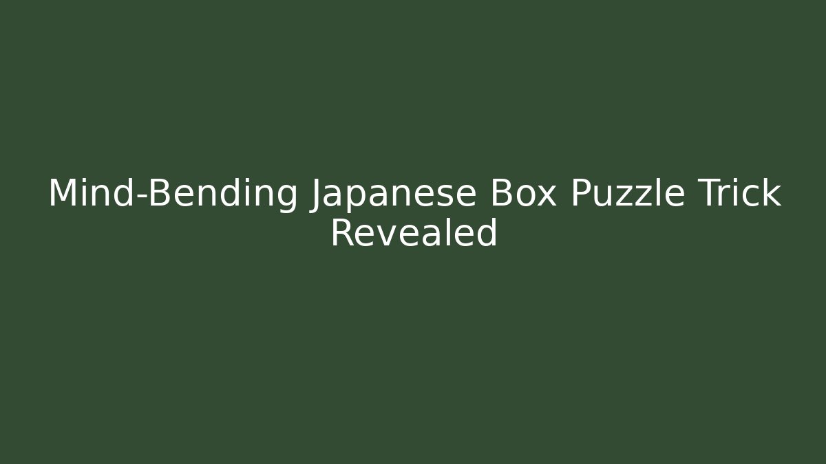 Mind-Bending Japanese Box Puzzle Trick Revealed