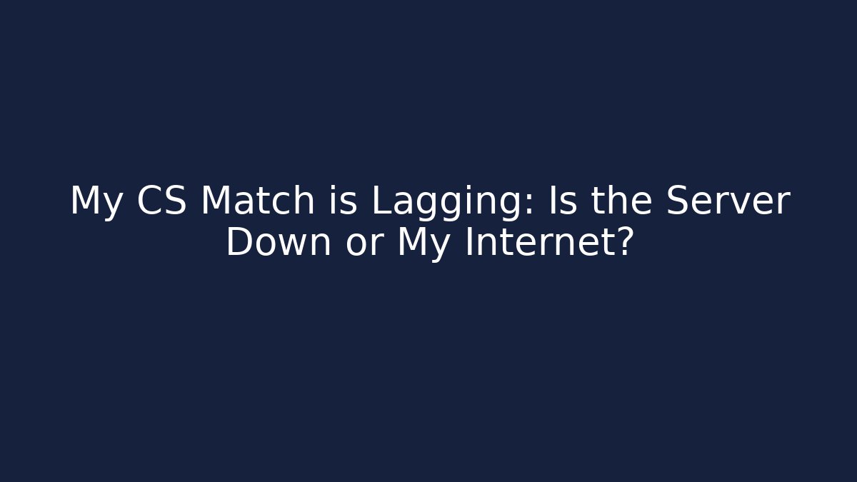 My CS Match is Lagging: Is the Server Down or My Internet? - Felix Cat Insurance