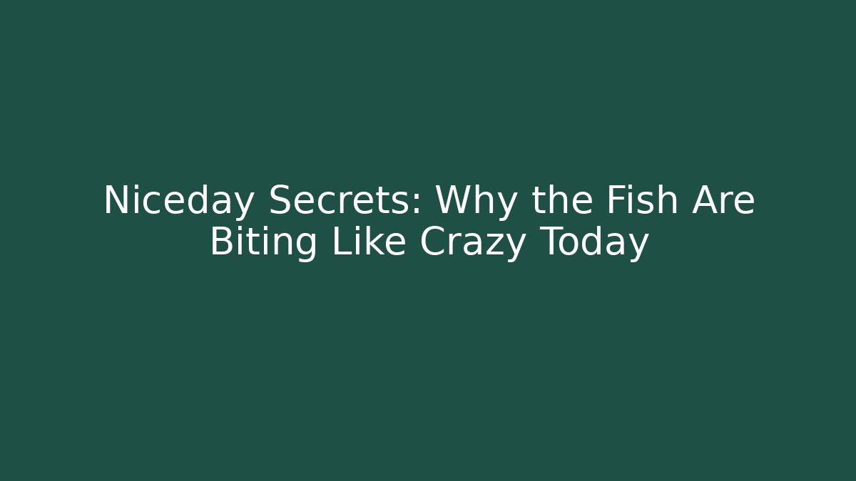 Niceday Secrets: Why the Fish Are Biting Like Crazy Today - Felix Cat Insurance