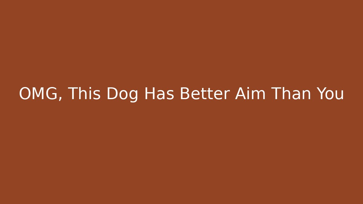 OMG, This Dog Has Better Aim Than You