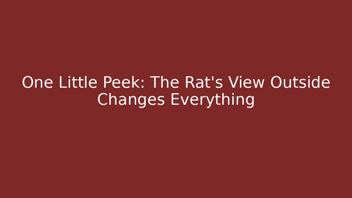One Little Peek: The Rat's View Outside Changes Everything