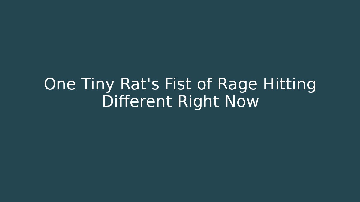 One Tiny Rat’s Fist of Rage Hitting Different Right Now