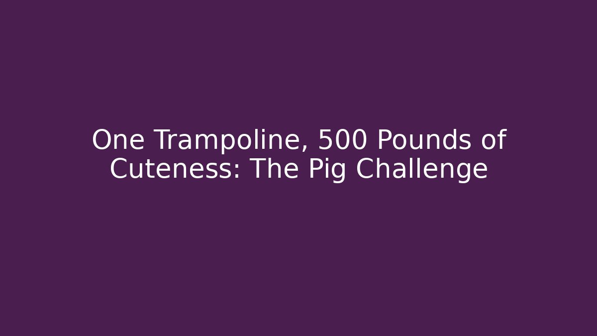 One Trampoline, 500 Pounds of Cuteness: The Pig Challenge