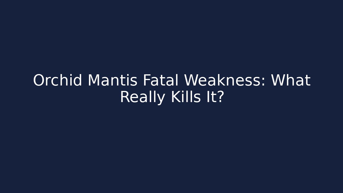 Orchid Mantis Fatal Weakness: What Really Kills It?