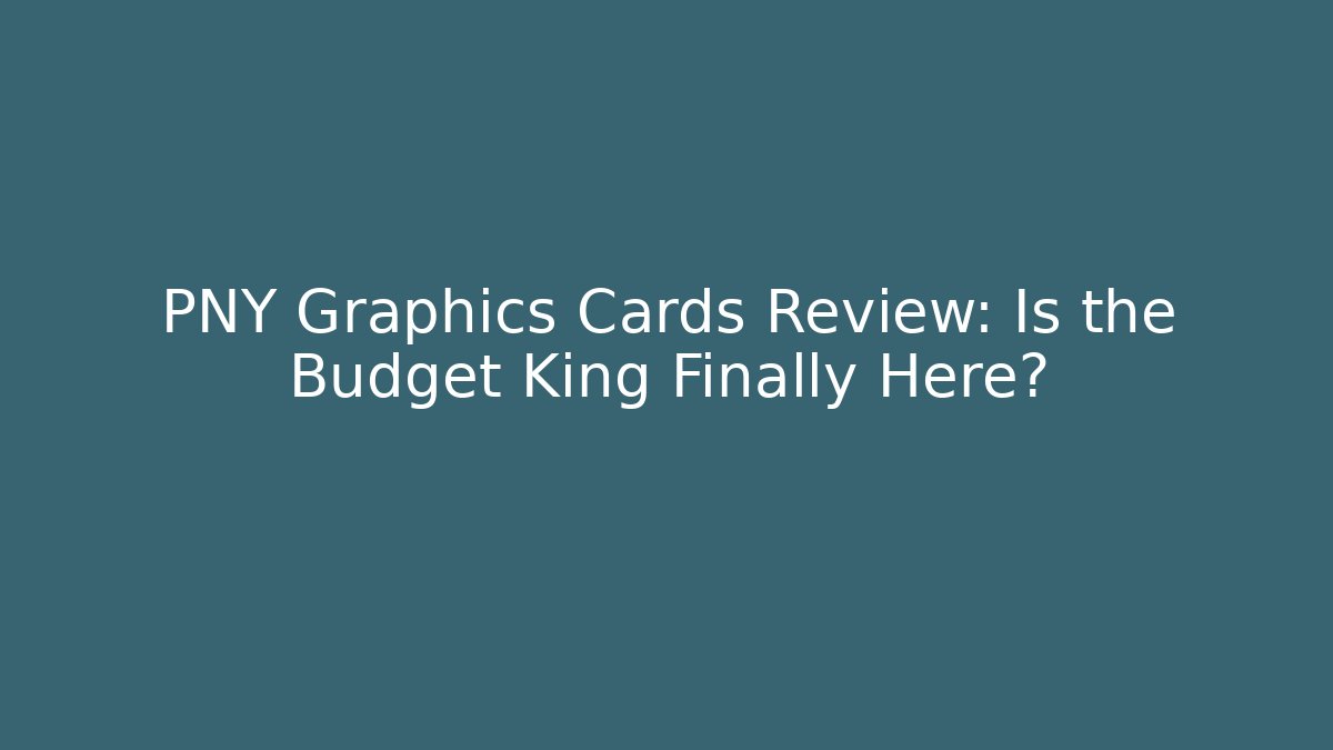 PNY Graphics Cards Review: Is the Budget King Finally Here?