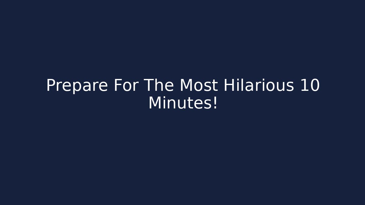 Prepare For The Most Hilarious 10 Minutes! - Felix Cat Insurance
