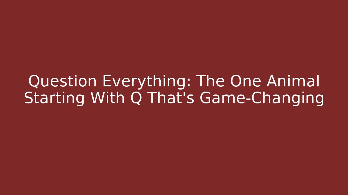 Question Everything: The One Animal Starting With Q That's Game-Changing - Felix Cat Insurance