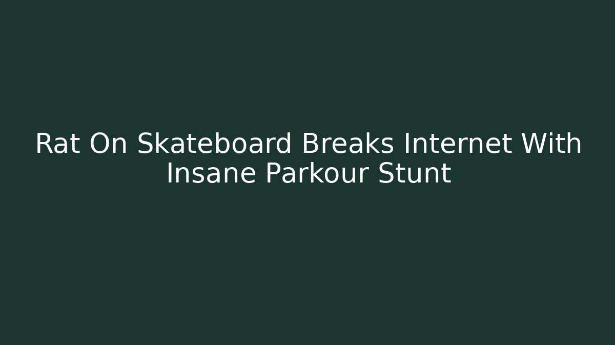 Rat On Skateboard Breaks Internet With Insane Parkour Stunt