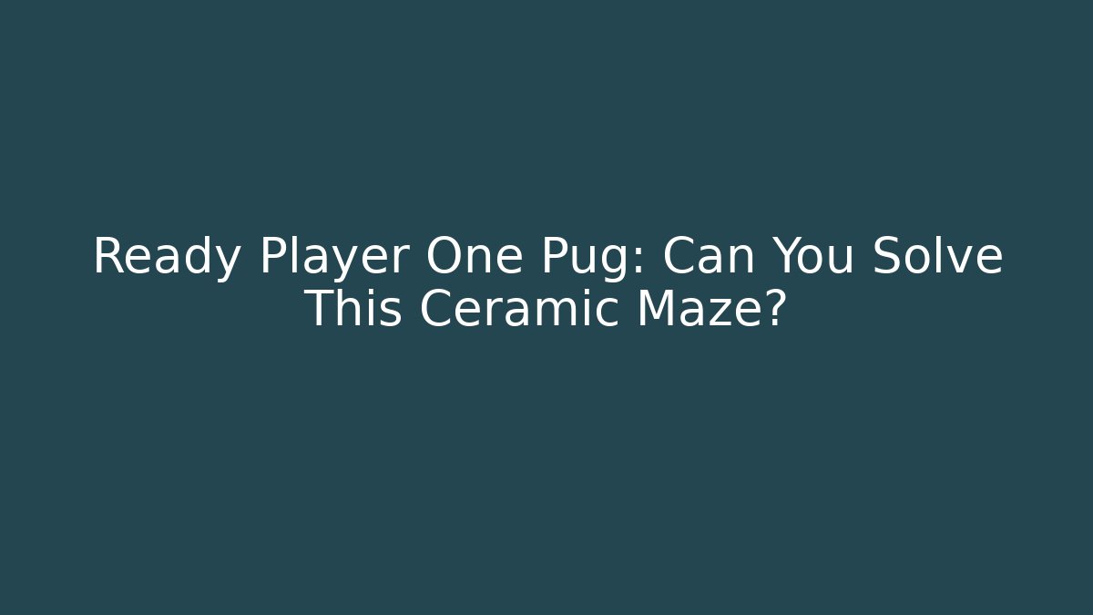 Ready Player One Pug: Can You Solve This Ceramic Maze?