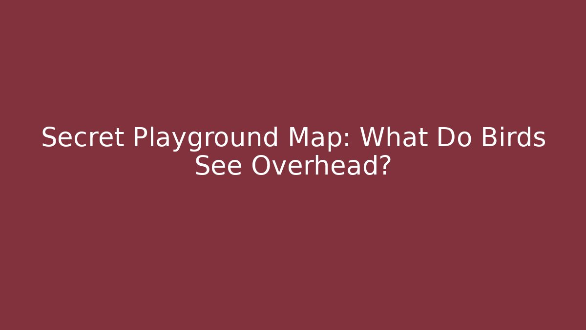 Secret Playground Map: What Do Birds See Overhead?