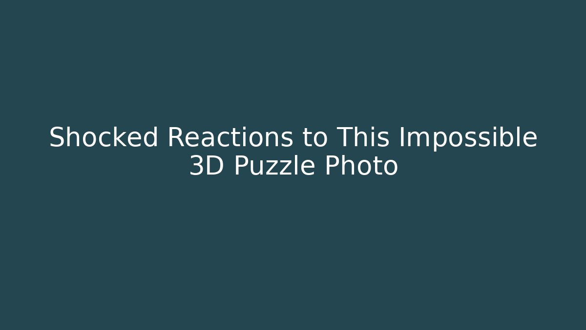 Shocked Reactions to This Impossible 3D Puzzle Photo - Felix Cat Insurance