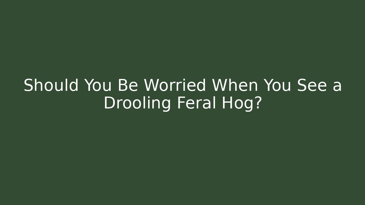 Should You Be Worried When You See a Drooling Feral Hog? - Felix Cat Insurance