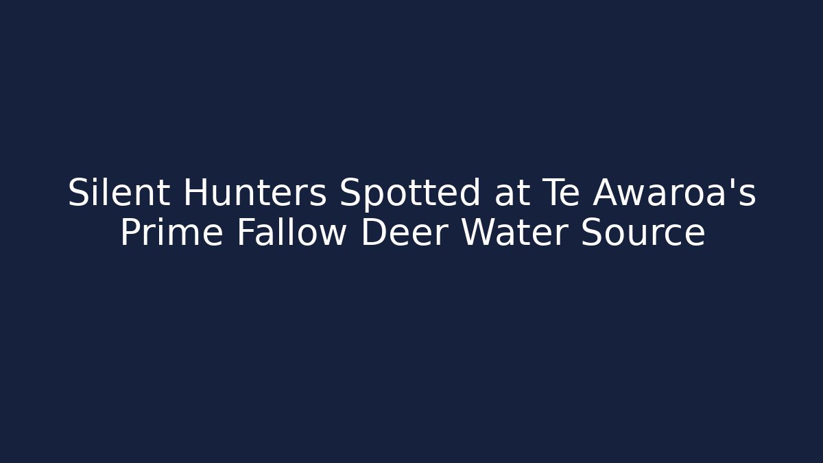 Silent Hunters Spotted at Te Awaroa's Prime Fallow Deer Water Source
