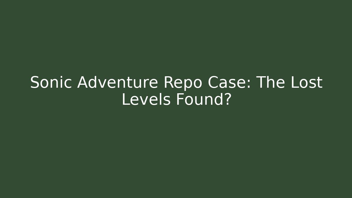 Sonic Adventure Repo Case: The Lost Levels Found?