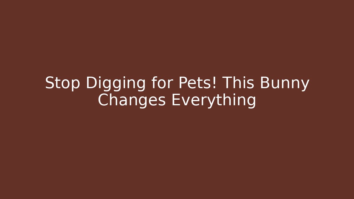 Stop Digging for Pets! This Bunny Changes Everything