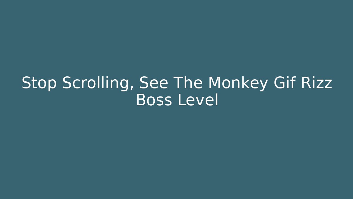 Stop Scrolling, See The Monkey Gif Rizz Boss Level