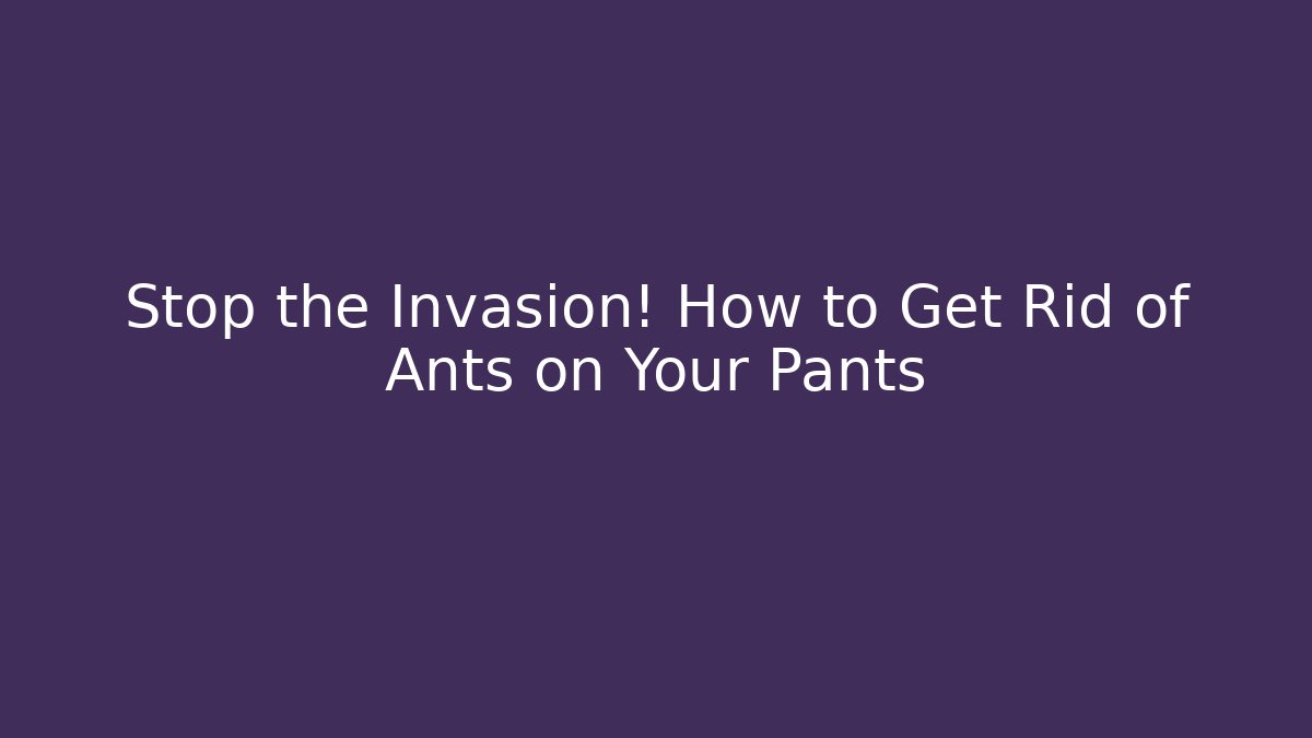 Stop the Invasion! How to Get Rid of Ants on Your Pants