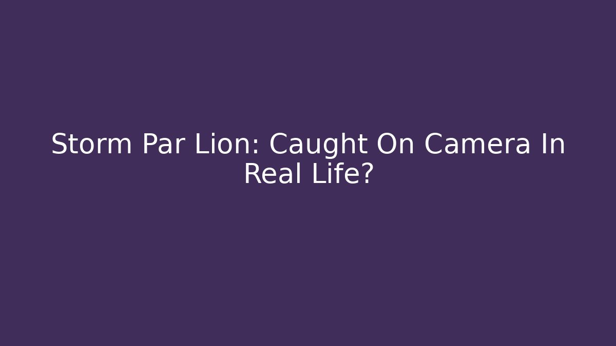 Storm Par Lion: Caught On Camera In Real Life?