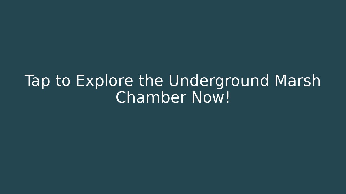 Tap to Explore the Underground Marsh Chamber Now! - Felix Cat Insurance