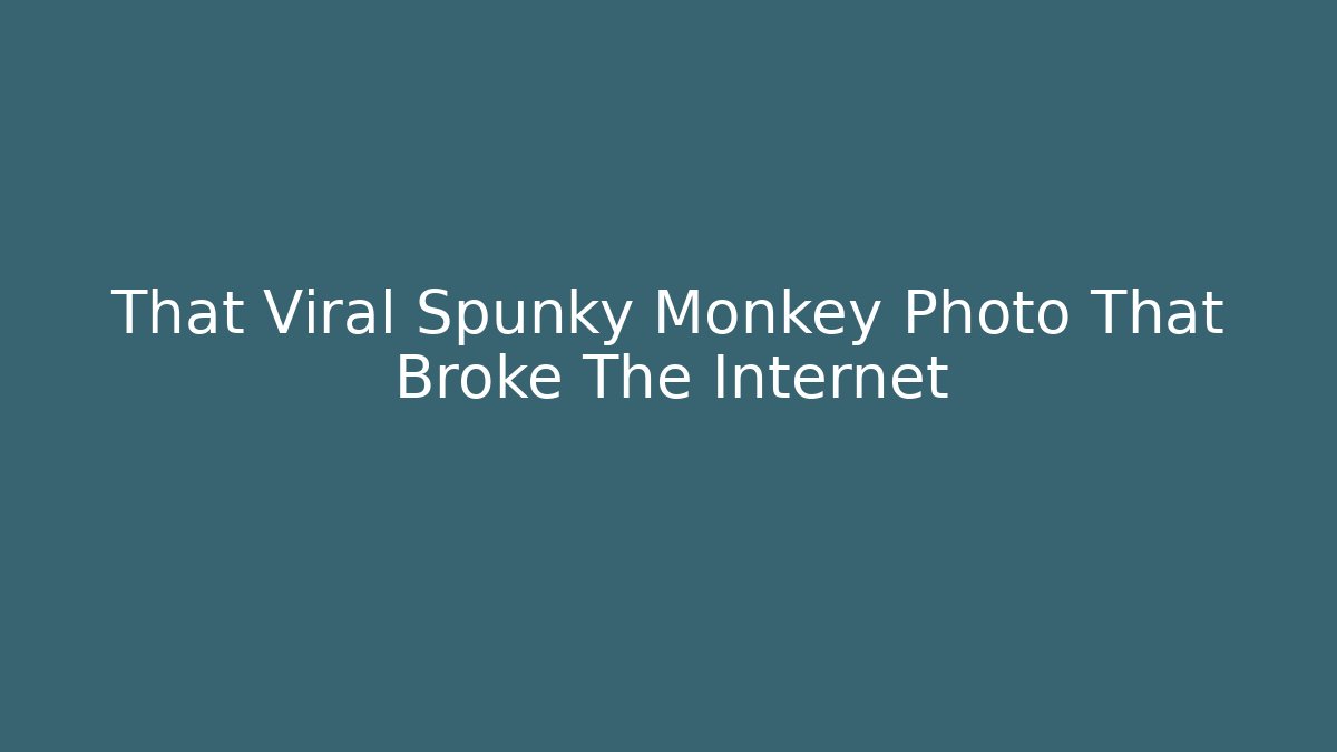 That Viral Spunky Monkey Photo That Broke The Internet