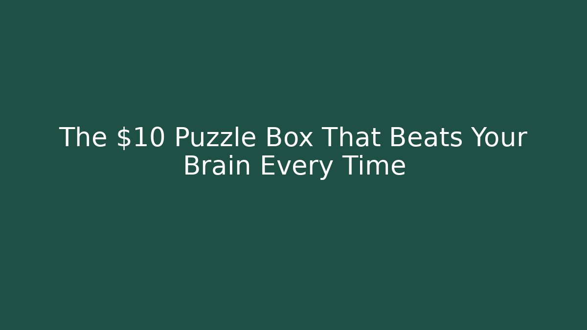 The $10 Puzzle Box That Beats Your Brain Every Time